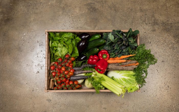 Eine Holzkiste gefüllt mit frischem Gemüse, darunter Tomaten, Salat, Auberginen, Zucchini, rote Paprika, Karotten, Sellerie, und verschiedene grüne Blattgemüsesorten, auf einem Betonboden."