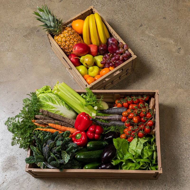 Zwei Kisten gefüllt mit einer Vielfalt an Obst und Gemüse, darunter Trauben, Bananen, Tomaten, Paprika und Zucchini.