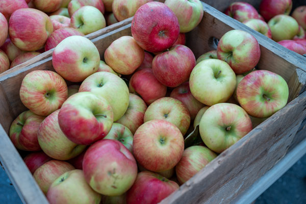 Ein Korb voller frischer, roter und grüner Äpfel, bereit zum Verkauf oder Verzehr